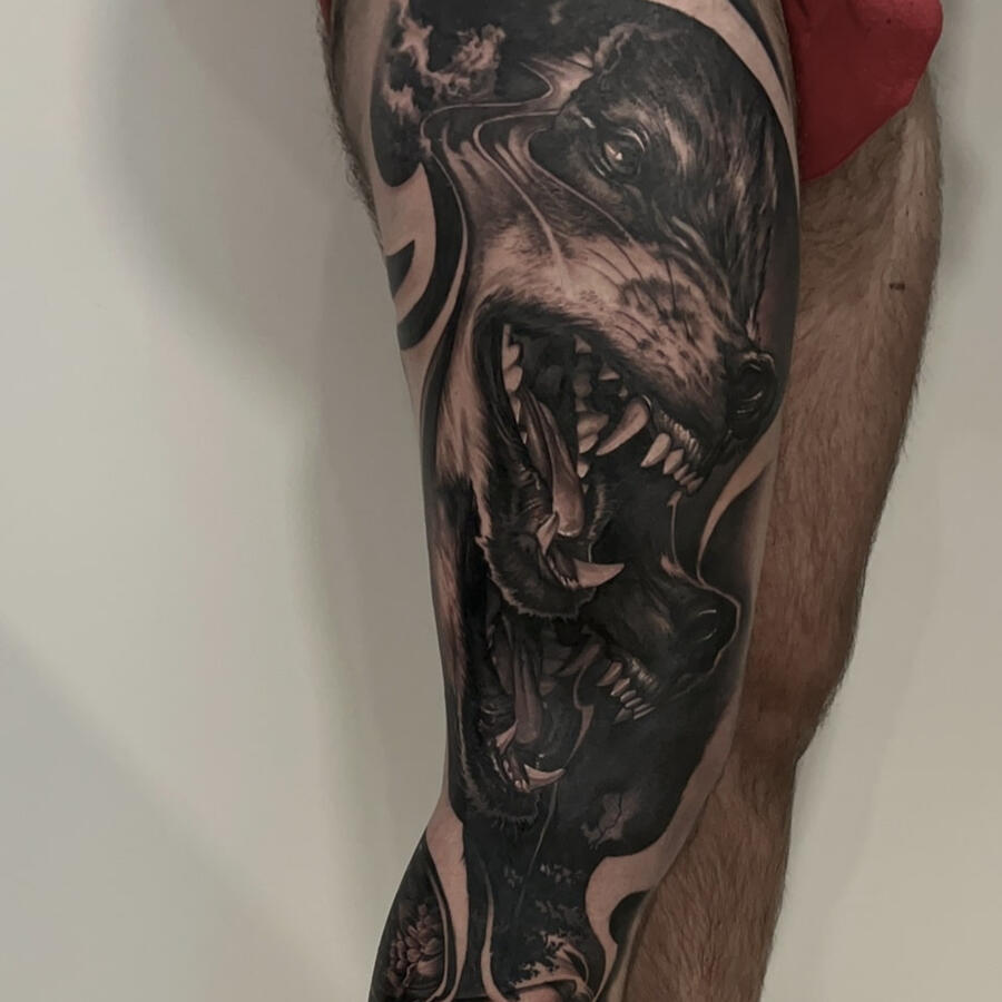 Ori profile image Ori profile image